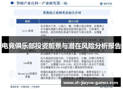 电竞俱乐部投资前景与潜在风险分析报告